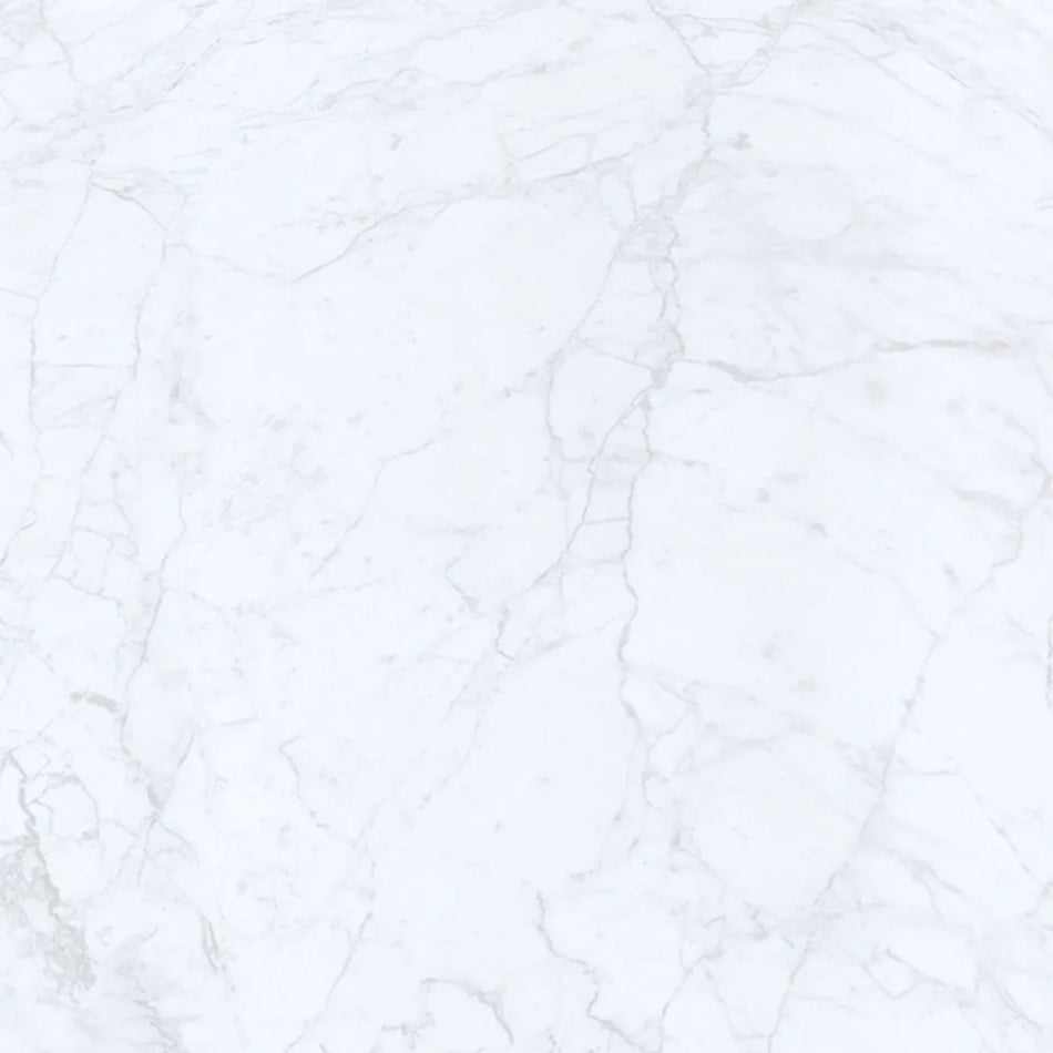 Carrara Marble PVC Panel