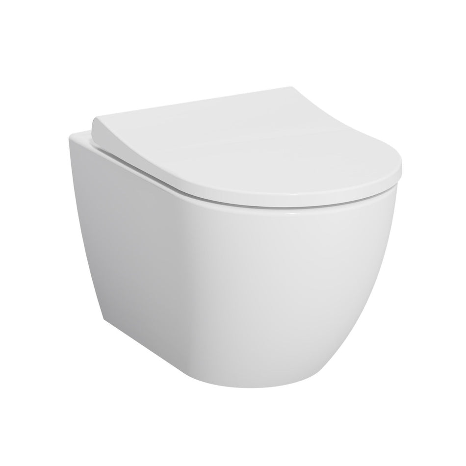 Eklipse Round Wall Hung Rimless Pan and Soft Close Seat